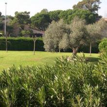 El mejor precio para Apartamentos Golf Mar. Disfrúta con nuestro Spa y Masaje en Girona